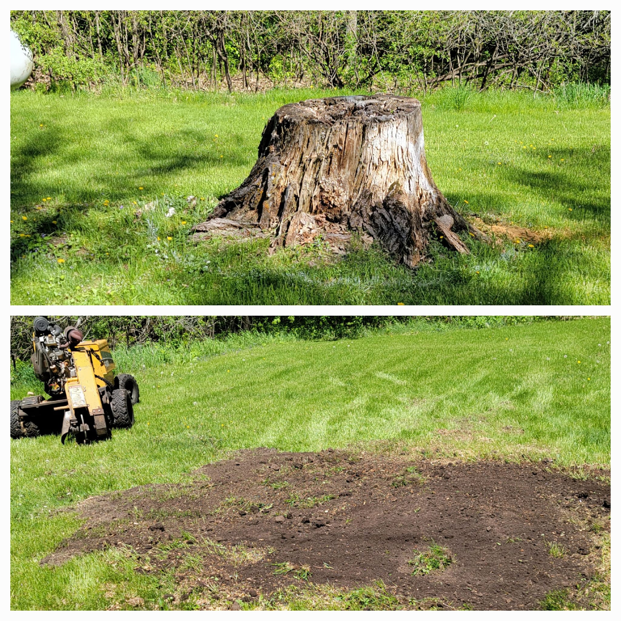 Stump Grinding